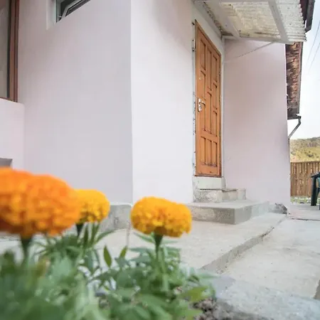 Ferienhaus Belvedere Old Town Brașov